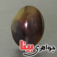 نگین انگشتر عقیق یمنی جزع شجری درشت بسیار زیبا _کد:17837
