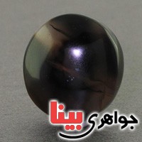 نگین انگشتر عقیق یمنی جزع شجری درشت عالی _کد:17849