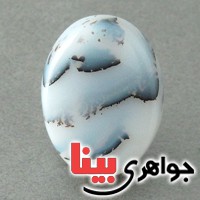 نگین انگشتر عقیق شجری درشت بسیار خوش نقش _کد:18042