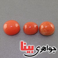 نگین انگشتر دُر حسینی (خونی) 3 عددی  _کد:18092