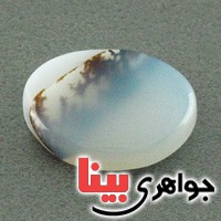 نگین انگشتر عقیق شجری خوش نقش و زیبا _کد:18094
