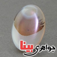 نگین انگشتر عقیق شجری بسیار خوش نقش و زیبا _کد:18105