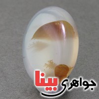 نگین انگشتر عقیق شجری خوش نقش عالی