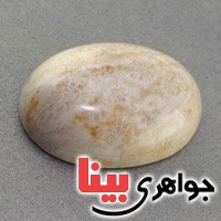 نگین انگشتر مرجان دریایی درشت بسیار عالی _کد:18279