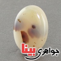 نگین انگشتر عقیق شجری درشت خوش نقش _کد:18420