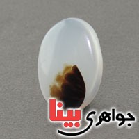 نگین انگشتر عقیق شجری خوش نقش زیبا