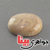 نگین انگشتر مرجان سفید خوش نقش درشت _کد:18484