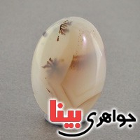 نگین انگشتر عقیق شجری خوش نقش درشت _کد:18675