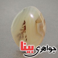 نگین انگشتر عقیق شجری درشت بسیار زیبا _کد:18682