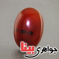 نگین انگشتر عقیق یمنی منظره ای خوشرنگ زیبا درشت _کد:18736