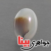 نگین انگشتر عقیق شجری درشت خوش نقش عالی نگین انگشتر عقیق شجری درشت خوش نقش عالی