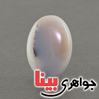 نگین انگشتر عقیق شجری بسیار زیبا و خوشرنگ _کد:18770