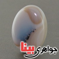 نگین انگشتر عقیق شجری درشت خوش نقش عالی نگین انگشتر عقیق شجری درشت خوش نقش عالی