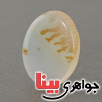 نگین انگشتر عقیق شجری درشت خوش نقش _کد:18950