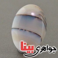 نگین انگشتر عقیق شجری درشت خوش نقش نگین انگشتر عقیق شجری درشت خوش نقش