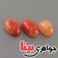 نگین انگشتر دُر حسینی (خونی) درشت سه عددی _کد:18959