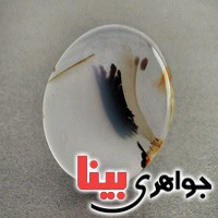 نگین انگشتر عقیق شجری درشت خوش نقش زیبا _کد:18965