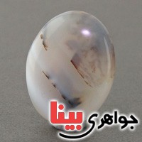 نگین انگشتر عقیق شجری خوش نقش زیبا _کد:18971