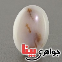 نگین انگشتر عقیق شجری درشت خوش نقش _کد:18979