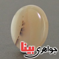 نگین انگشتر عقیق شجری درشت خوش نقش عالی _کد:18982