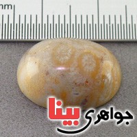 نگین انگشتر مرجان درشت کلکسیونی _کد:19127