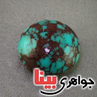 نگین انگشتر فیروزه شجری درشت خوش نقش _کد:2876