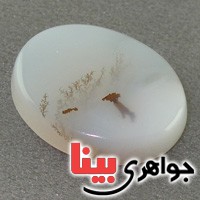نگین انگشتر عقیق یمنی شجری درشت خوش نقش _کد:19331