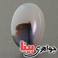 نگین انگشتر عقیق شجری درشت خوش نقش _کد:19338