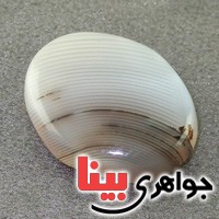 نگین انگشتر عقیق یمنی شجری درشت خاص _کد:19341