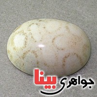 نگین انگشتر مرجان درشت با خواص عجیب _کد:19385