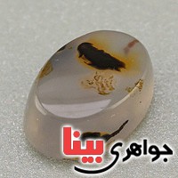 نگین انگشتر عقیق شجری و مصور فاخر _کد:19595