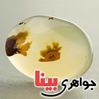 نگین انگشتر عقیق یمنی شجری خوشرنگ و خاص _کد:19601
