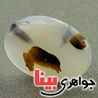 نگین انگشتر عقیق یمنی شجری بسیار زیبا _کد:19615