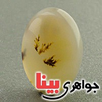 نگین انگشتر عقیق یمنی شجری زیبا _کد:19641