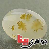 نگین انگشتر عقیق یمنی شجری زیبا