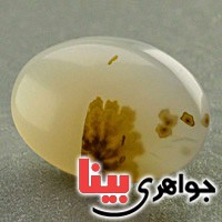 نگین انگشتر عقیق یمنی شجری زیبا _کد:19684