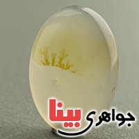 نگین انگشتر عقیق یمنی شجری زیبا _کد:19701