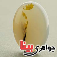 نگین انگشتر عقیق یمنی منظره ای سه بعدی _کد:19739