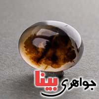 نگین انگشتر عقیق یمنی شجری ناب خوش نقش _کد:19945