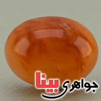 نگین انگشتر دُر خونی ( حسینی ) درشت زیبا _کد:20109