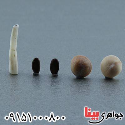 گردنبند صدف مهره مار ناب و اصلی به همراه کیف چرمی