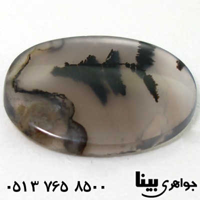 نگین انگشتر عقیق شجر منظره