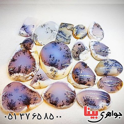 نگین انگشتر دندرایت طبیعی بسیار زیبا _کد:21464