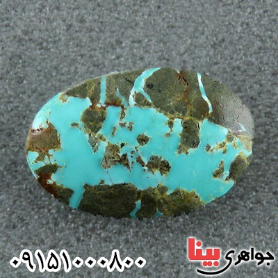 نگین انگشتر فیروزه نیشابوری خوشرنگ شجری درشت _کد:24042