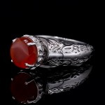 فاخر و خاص زنانه _کد:26188