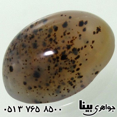 نگین انگشتر عقیق شجری خوش نقش 3