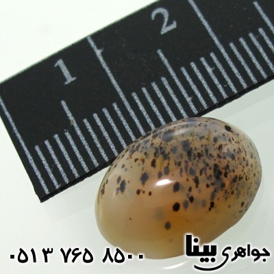 نگین انگشتر عقیق شجری خوش نقش 3