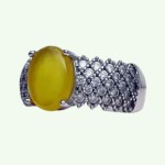 زنانه رودیوم شیک _کد:34949 زنانه رودیوم شیک _کد:34949