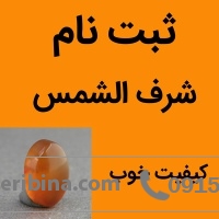نگین انگشتر عقیق شرف الشمس یمنی خوشرنگ با کیفیت خوب سایز متوسط _کد:35427
