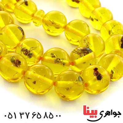 تسبیح کهربا پودری حشره ای 33 دانه ای عسلی